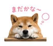844466160