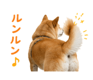 844466166