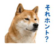 844466167