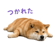 844466172