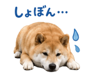 844466174