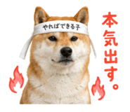 844466176