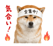 844466177