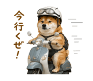 844466183