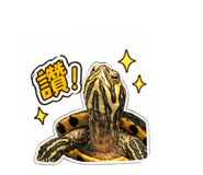 844466504