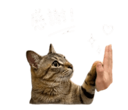844467582