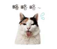 844467736