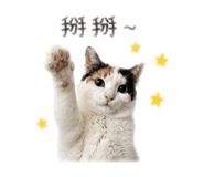 844467744