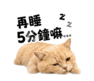 844467810