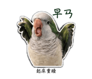 844468113