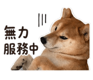 844468771