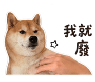 844468773