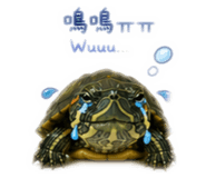 844471329