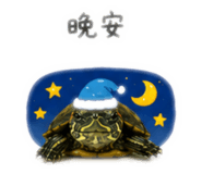 844471335