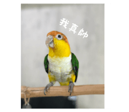 844471565