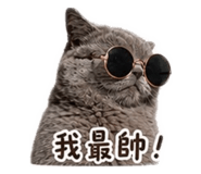 844473158