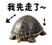 844473707