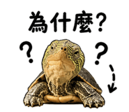 844473712