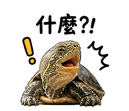 844473715