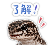 844476933