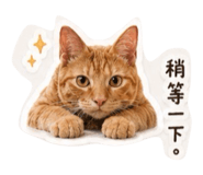 844477605