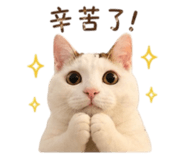 844477802