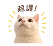 844477804