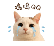 844477807