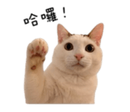 844477809