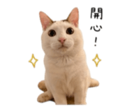 844477810