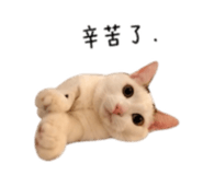 844477812