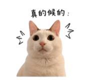 844477813
