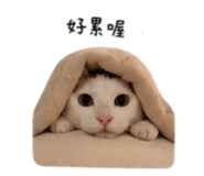 844477814