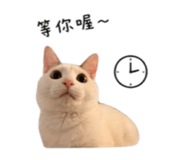 844477815