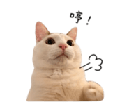 844477816
