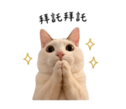 844477817