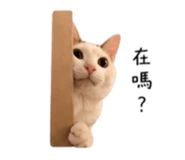 844477818