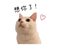 844477819