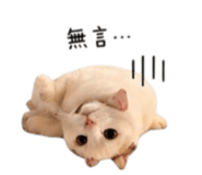 844477822