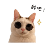 844477825