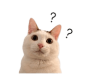 844477826