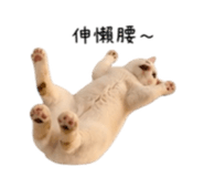 844477827