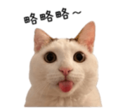 844477830