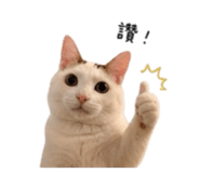 844477831