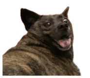 844478432