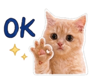 844478602