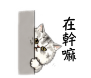 844478799