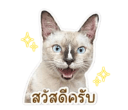 844480657