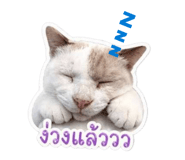 844480658