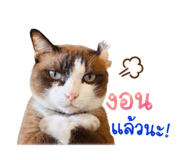 844480666